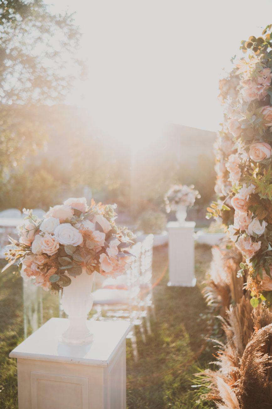 The garden in bloom